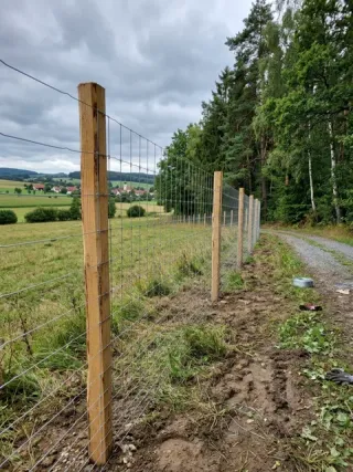Wildzaun in Siegen - fachgerechte Ausführung vor Ort